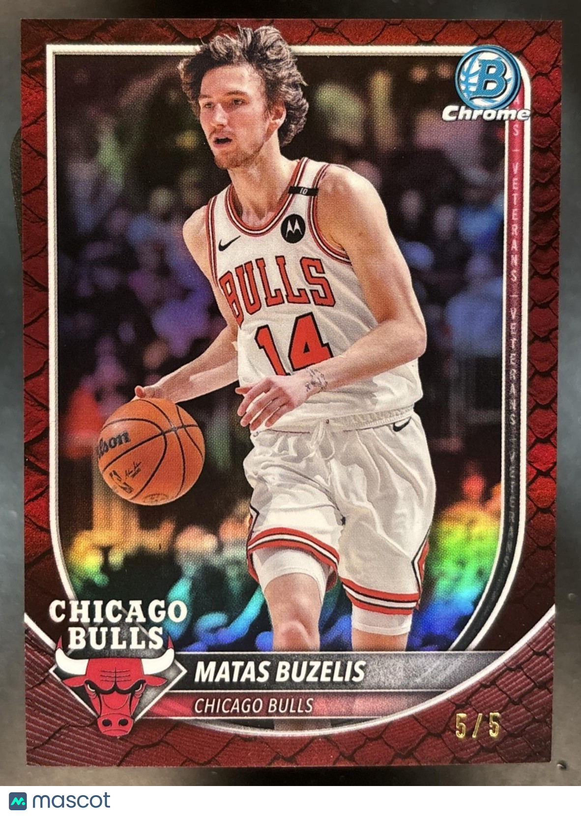 2025-26 Bowman Matas Buzelis Chrome Reptilian Red 5/5 #BCV-73 Chicago Bulls