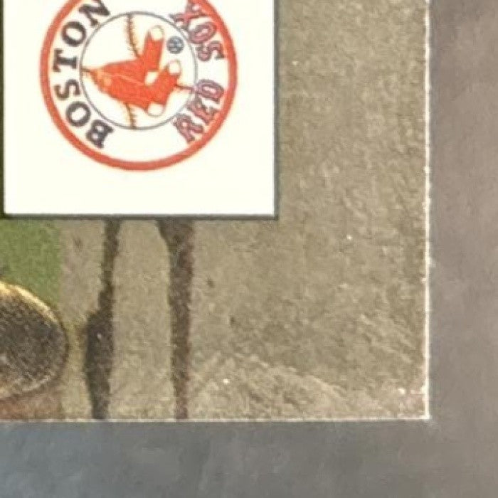 2005 Donruss Pedro Martinez Stat Line Career /271 #127 Boston Red Sox