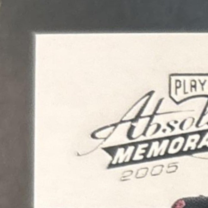2005 Playoff Absolute Memorabilia Pedro Martinez Tools of the Trade Black /100