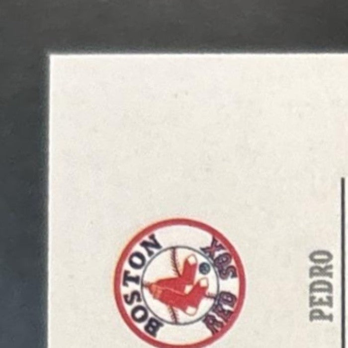 2005 Playoff Absolute Memorabilia Pedro Martinez Tools of the Trade Black /100