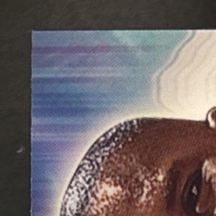 2000-01 Fleer Focus Shaquille O'Neal #217 Los Angeles Lakers