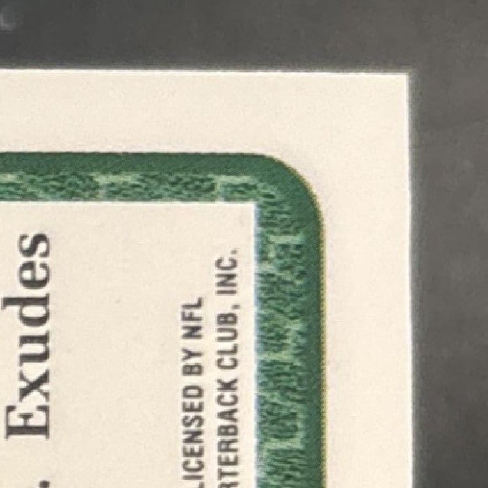 1993 Topps Brett Favre Gold #250 Green Bay Packers