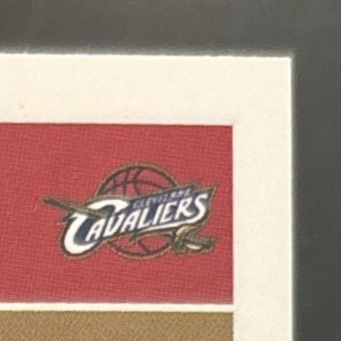 2003-04 Topps LeBron James #221 RC Cleveland Cavaliers