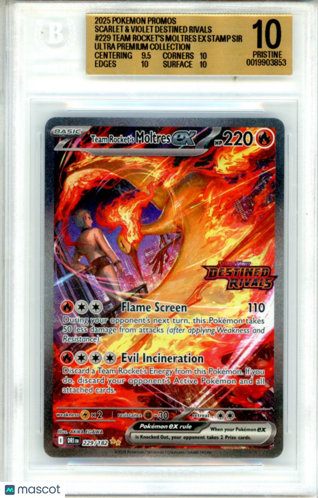 2025 Pokemon SV Destined Rivals Promos Team Rocket's Moltres ex SIR #229 BGS 10