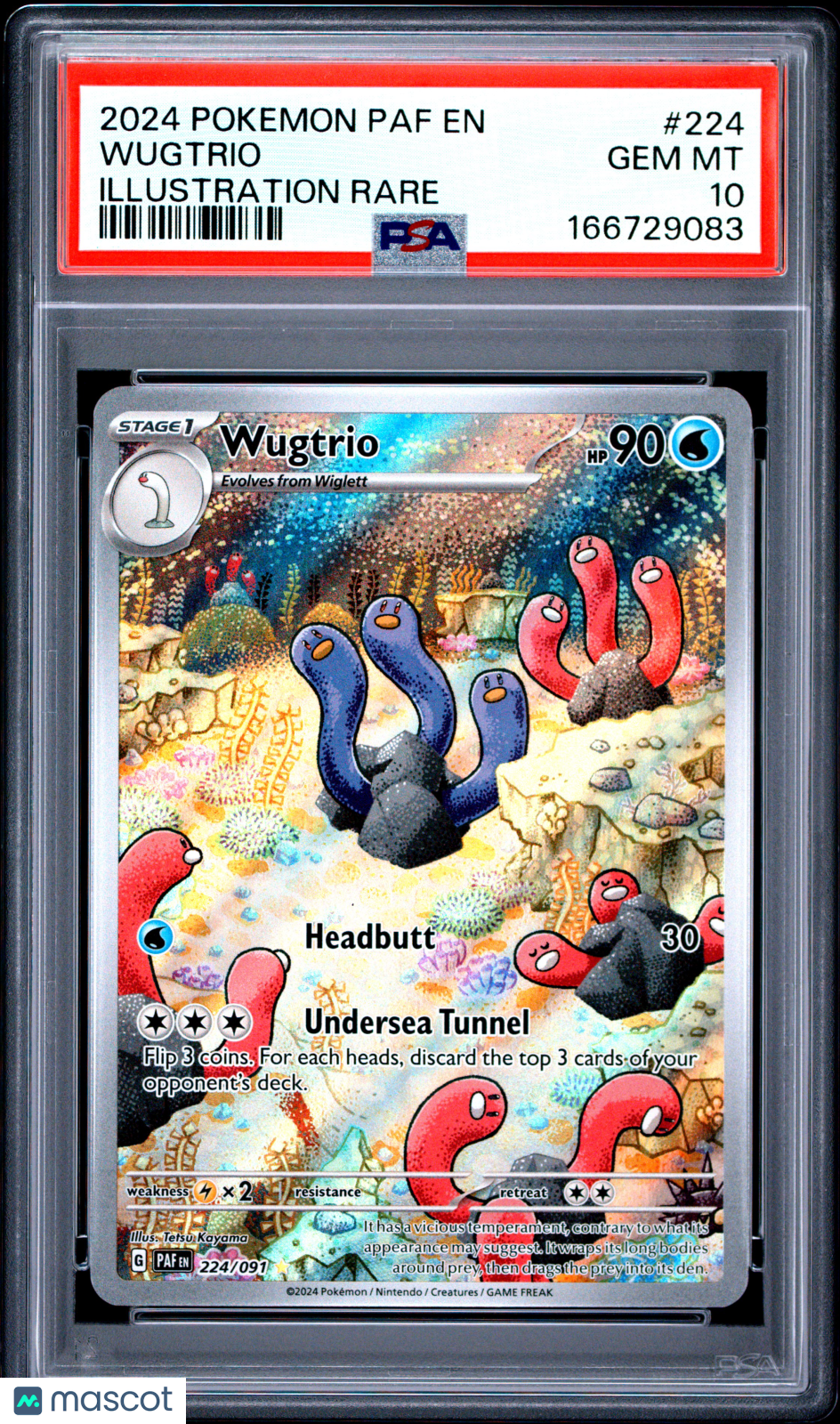 2024 Pokemon Paldean Fates Wugtrio #224 Illustration Rare PSA 10 GEM MINT