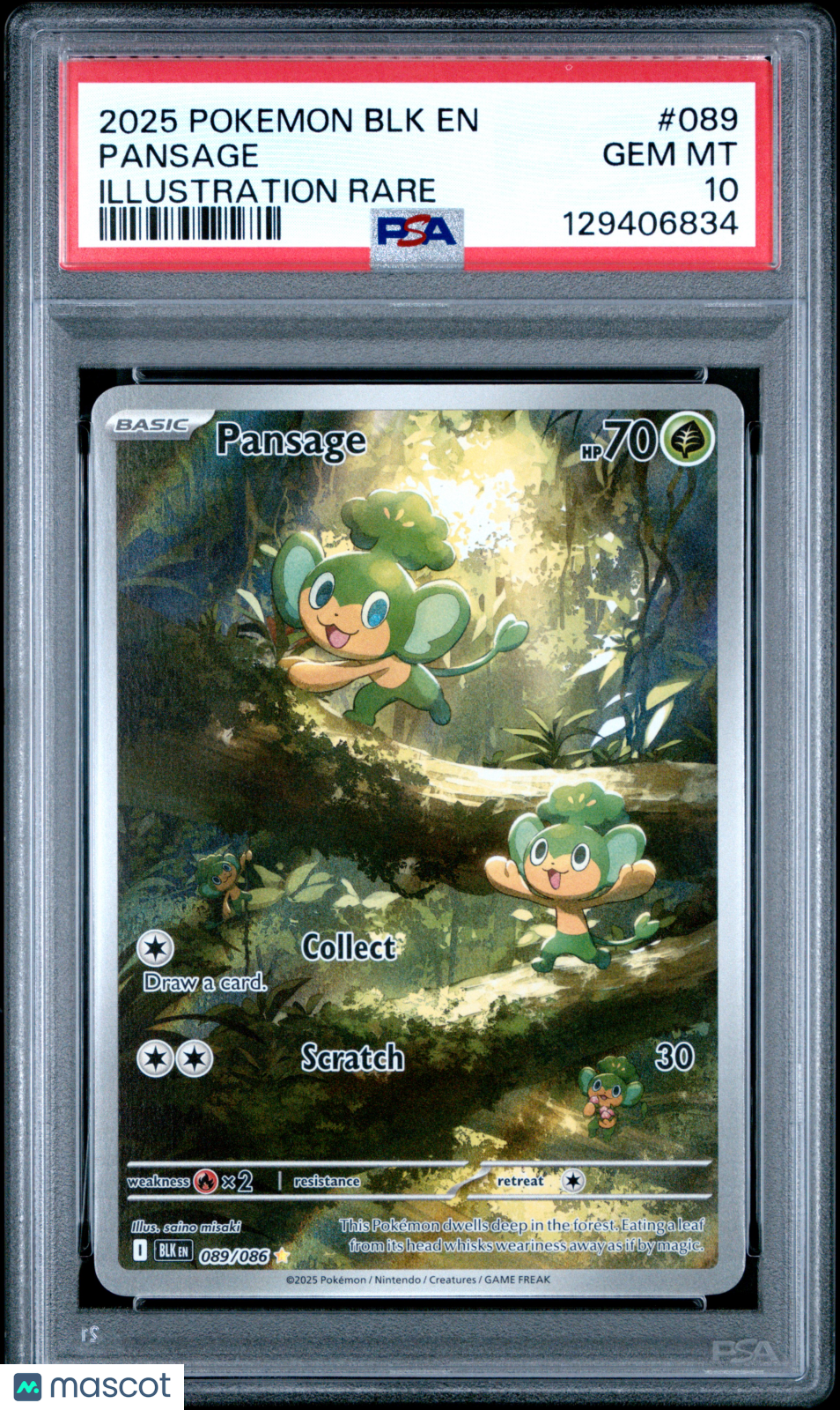 2025 Pokemon BLK EN-Black Bolt Pansage #089 Illustration Rare PSA 10