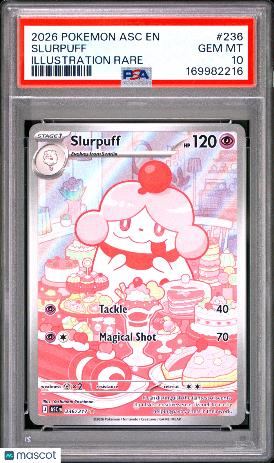 2026 Pokemon Ascended Heroes Slurpuff #236 Illustration Rare PSA 10 GEM MINT