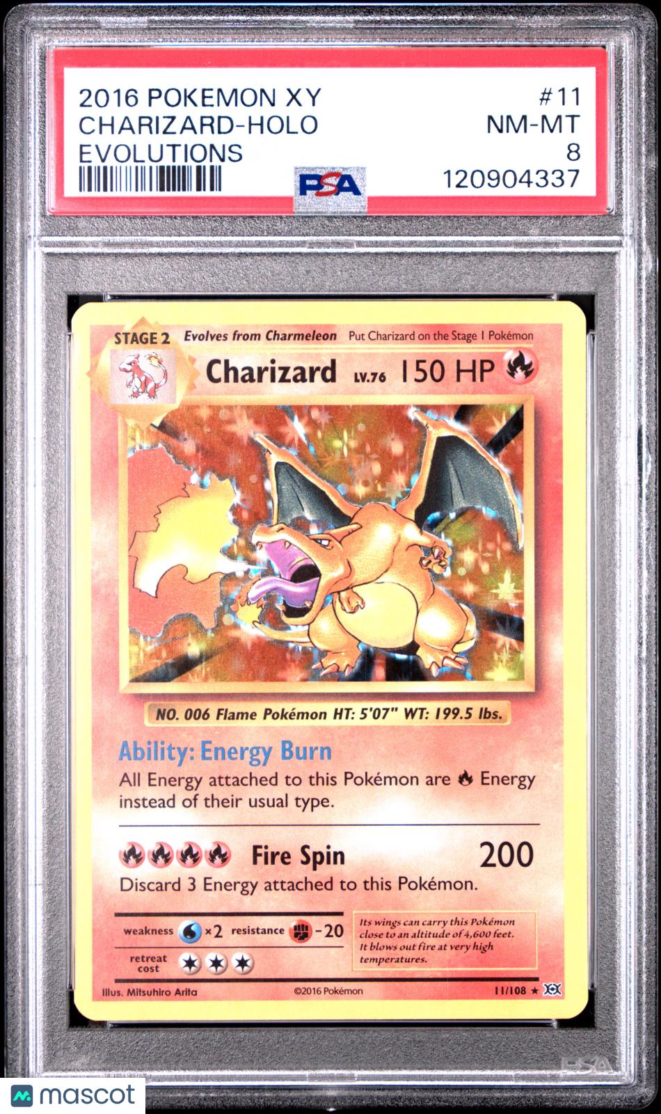 2016 Pokemon XY Evolutions Charizard #11 Holo PSA 8