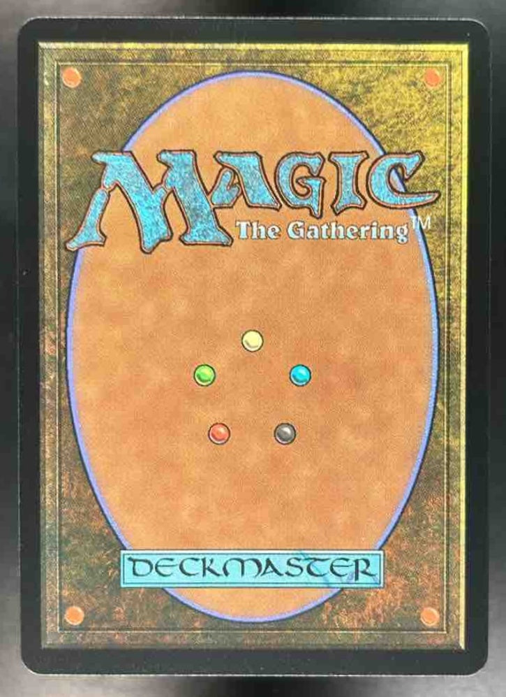 Magic The Gathering Lord of Rings Tales Middle-Earth Tom Bombadil/100 Serialized - TCG/CCG