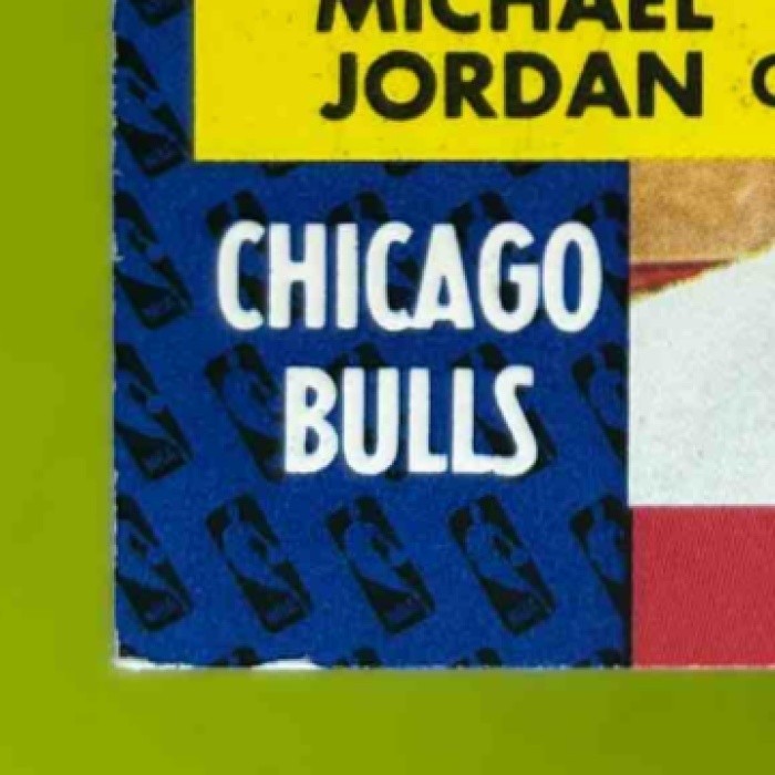 1991-92 Fleer Michael Jordan #211 Chicago Bulls - Sports Cards