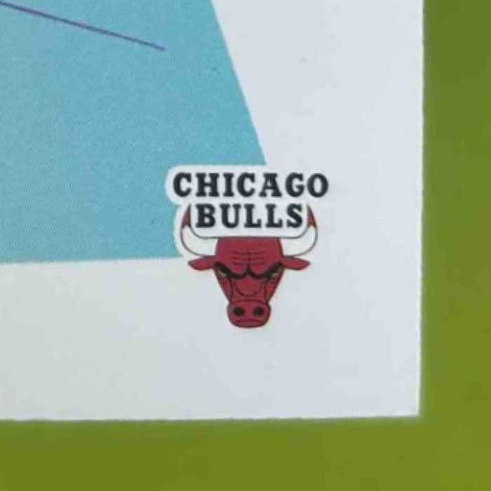 1991-92 Skybox Chicago Bulls #408 - Sports Cards