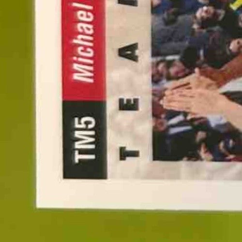 1992-93 Upper Deck Michael Jordan Team MVPs #TM5 Chicago Bulls - Sports Cards