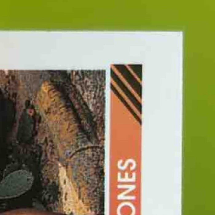 1992 Bowman Chipper Jones #28 Atlanta Braves - Sports Cards