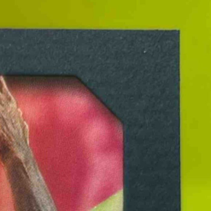 1995-96 Skybox E-XL Michael Jordan Blue #10 Chicago Bulls - Sports Cards