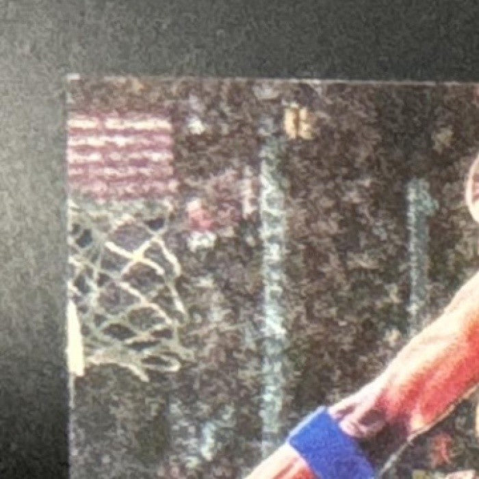 1995-96 Upper Deck The Jordan Collection 3x5 Third Consecutive NBA Championship - Sports Cards