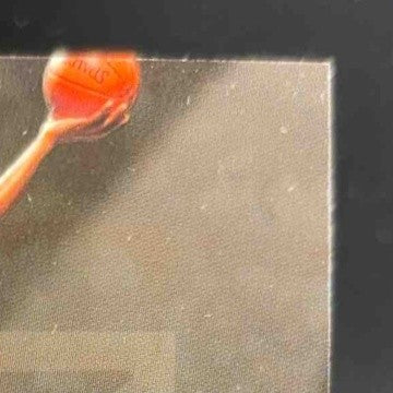 1997-98 Skybox Z-Force Tracy McGrady Zebut #8 ZB RC Toronto Raptors Die Cut - Sports Cards