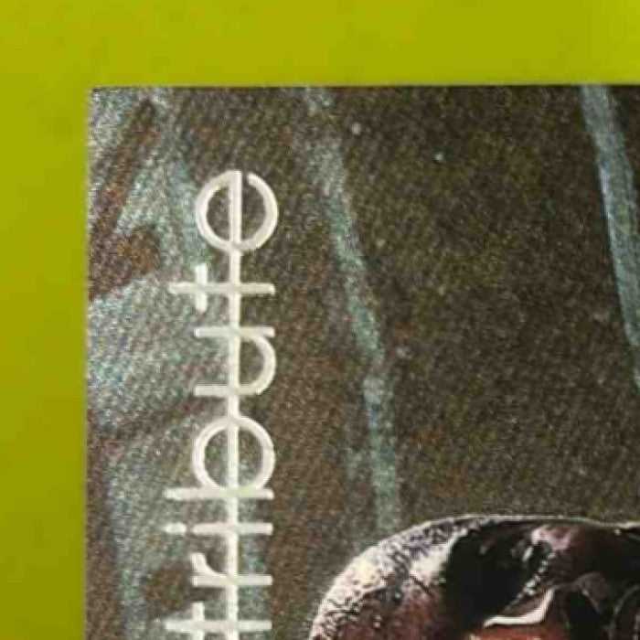 1997-98 Upper Deck Michael Jordan Tribute #MJ76 Chicago Bulls - Sports Cards