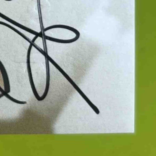 1998 Skybox Hines Ward Autographics #NNO RC Pittsburgh Steelers - Sports Cards