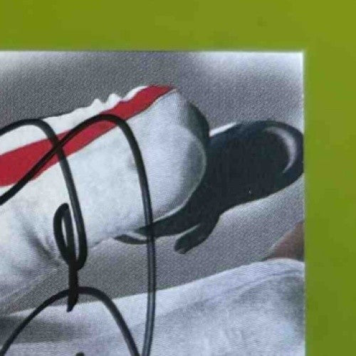 1998 Skybox Hines Ward Autographics #NNO RC Pittsburgh Steelers - Sports Cards