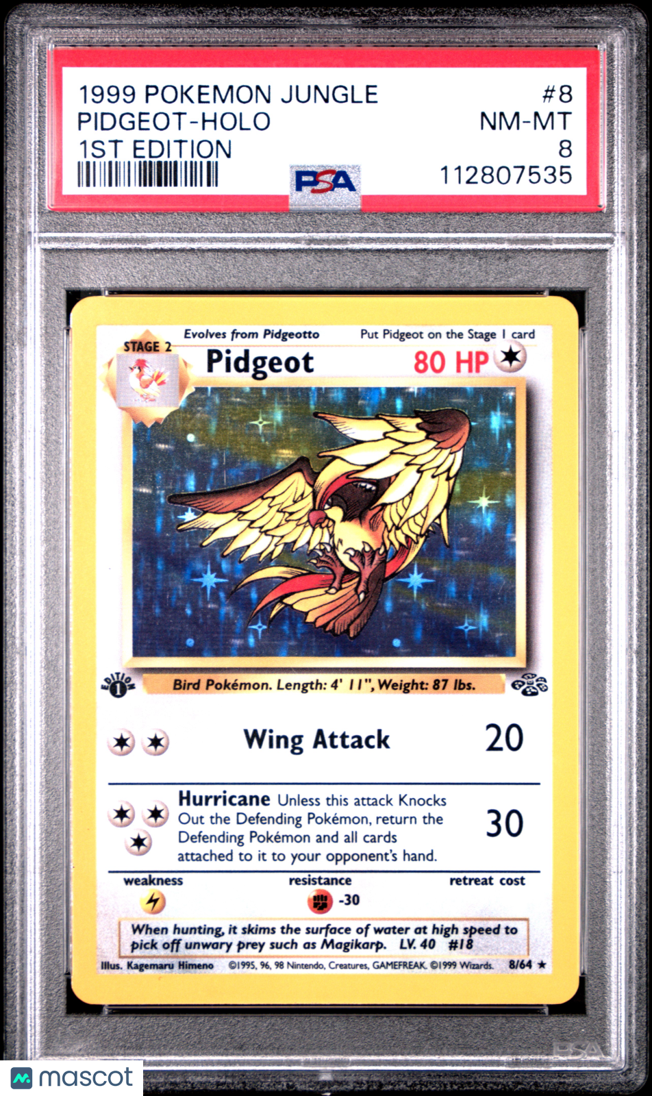 1999 Pokemon Jungle Pidgeot #8 1ST Edition PSA 8 HOLO - Graded TCG/CCG