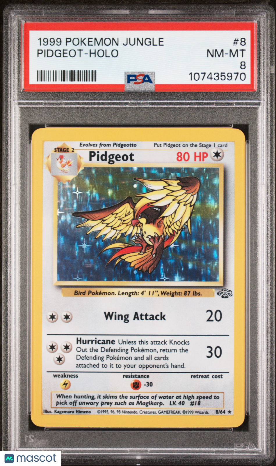 1999 Pokemon Jungle Pidgeot #8 PSA 8 NEAR MINT - Graded TCG/CCG