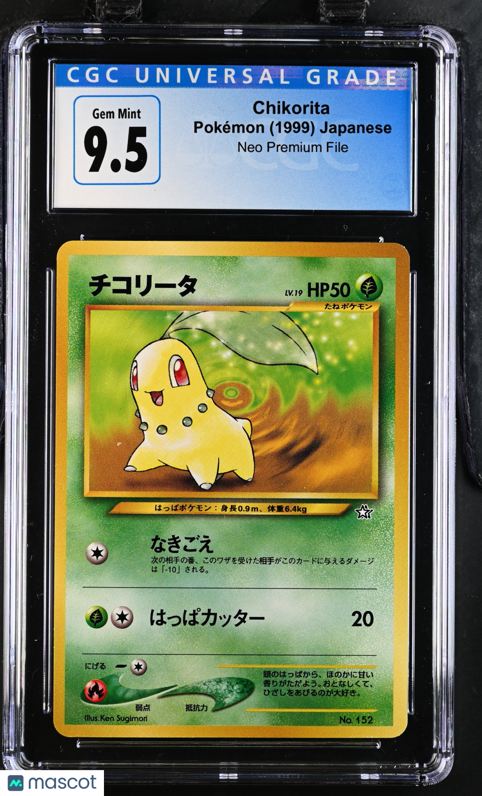 1999 Pokemon Neo Premium File Chikorita Japanese CGC 10 GEM MINT - Graded TCG/CCG