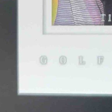 2001 Upper Deck Tiger Woods Gallery #GG4 DJ2 - Sports Cards