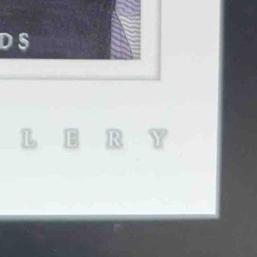 2001 Upper Deck Tiger Woods Gallery #GG4 DJ2 - Sports Cards