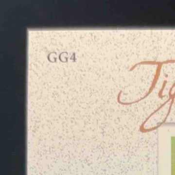 2001 Upper Deck Tiger Woods Gallery #GG4 DJ3 - Sports Cards