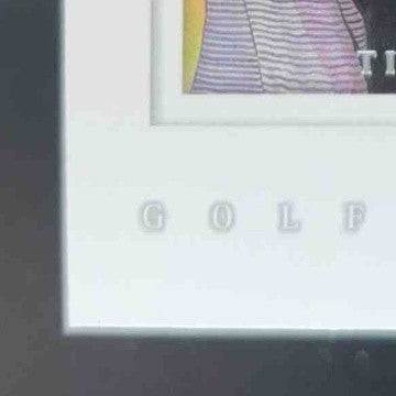 2001 Upper Deck Tiger Woods Gallery #GG4 DJ3 - Sports Cards