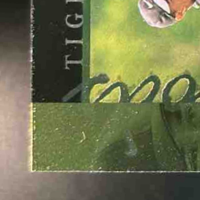 2001 Upper Deck Tiger Woods Tiger’s Tales #TT20 RC - Sports Cards