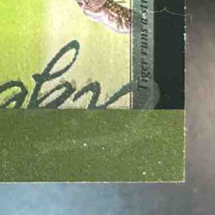 2001 Upper Deck Tiger Woods Tiger’s Tales #TT20 RC - Sports Cards