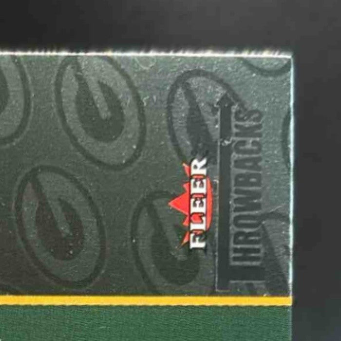 2002 Fleer Throwbacks Ahman Green Lambeau Legends #NNO Bay Packers - Sports Cards