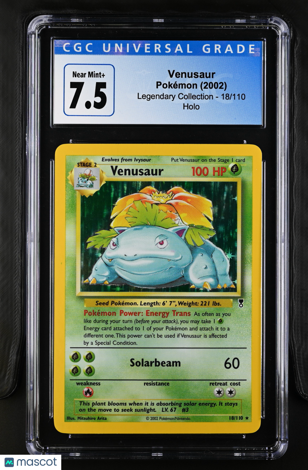 Pokemon / TCG Graded