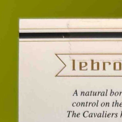 2003-04 Upper Deck LeBron James Box Set #19 RC Cleveland Cavaliers - Sports Cards