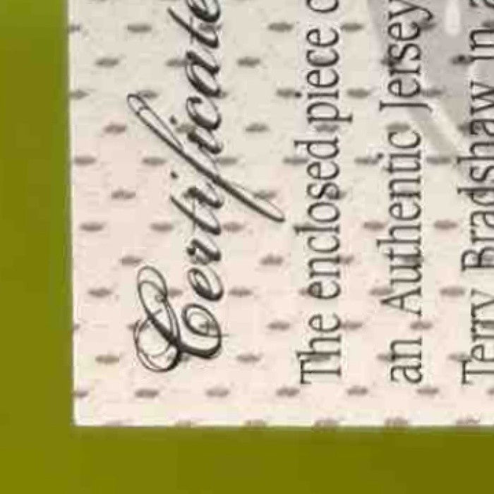 2004 Leaf Certified Materials Terry Bradshaw Fabric of the Game /70 Steelers - Sports Cards