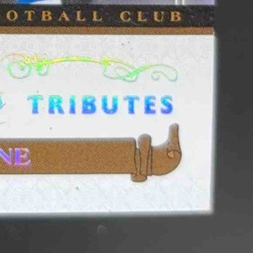 2006 Donruss Classics Reggie Wayne Timeless Tributes Bronze /100 Colts - Sports Cards