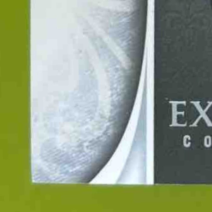 2006 Upper Deck Exquisite Collection Fred Taylor /150 #29 Jaguars - Sports Cards