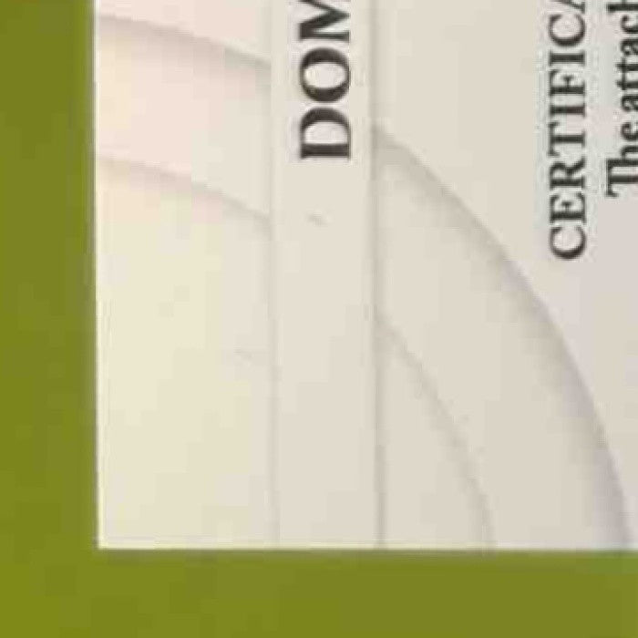 2008 Donruss Threads Dominic Brown Signatures /999 #135 Auto Phillies - Sports Cards