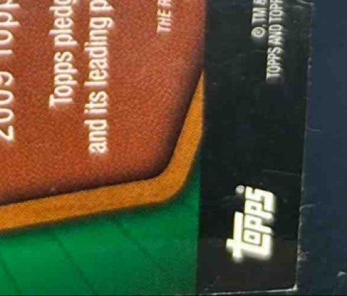 2009 SPx Tomlinson Peterson Turner Forte Portis SlatonWilliams Johnson Eight /9 - Sports Cards