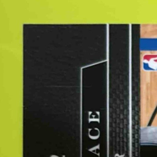 2010-11 Panini Elite Black Box Ben Wallace Status /99 #82 Detroit Pistons - Sports Cards