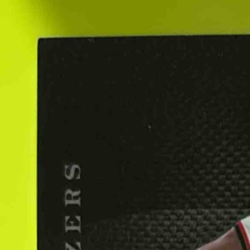 2010-11 Panini Elite Black Box Walter Berry Status/99 197 Portland Trail Blazers - Sports Cards