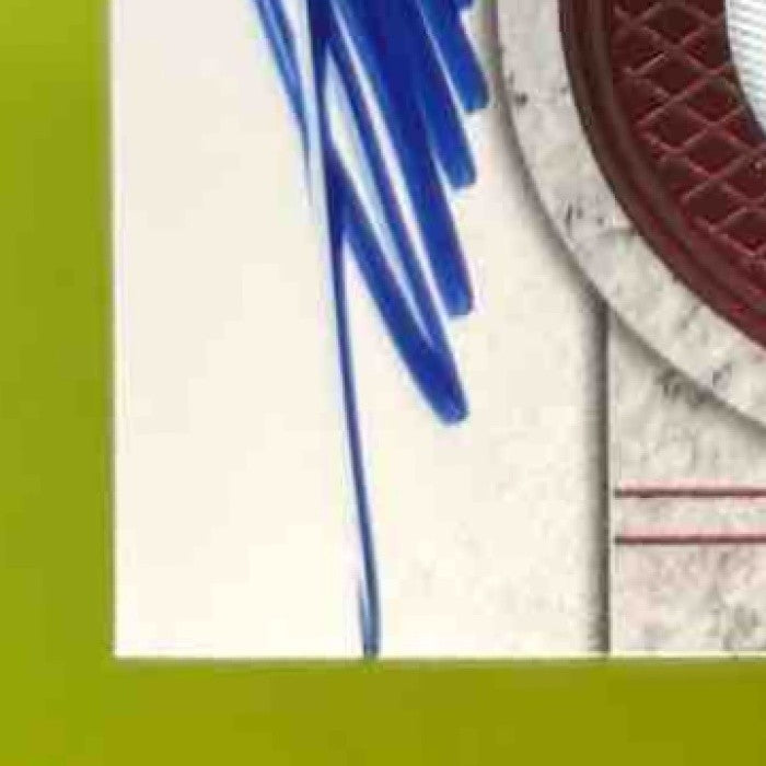 2011 Panini Plates & Patches Titus Young /499 #215 RC Auto Detroit Lions - Sports Cards