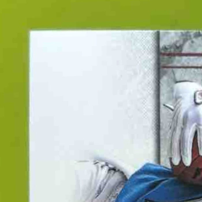 2011 Panini Plates & Patches Titus Young /499 #215 RC Auto Detroit Lions - Sports Cards