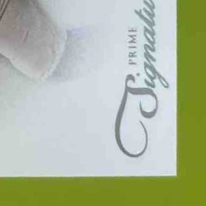 2011 Panini Prime Signatures Aaron Rodgers /499 #1 Green Bay Packers - Sports Cards