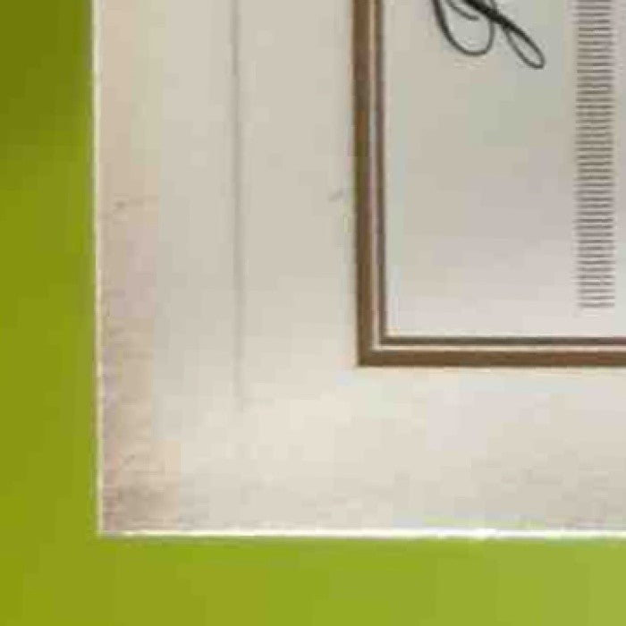 2011 Panini Prime Signatures John Brodie /499 #100 San Francisco 49ers - Sports Cards