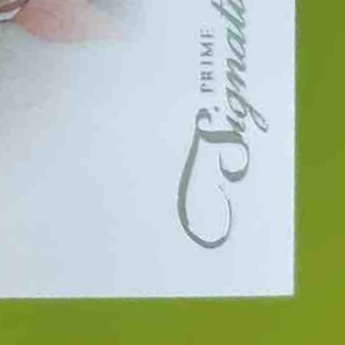 2011 Panini Prime Signatures Michael Crabtree /499 #124 San Francisco 49ers - Sports Cards