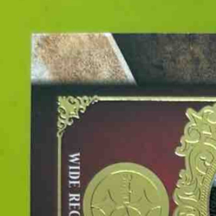 2011 Topps Five Star Hines Ward Auto Patch Gold /40 FADED AUTO BADLY Steelers - Sports Cards