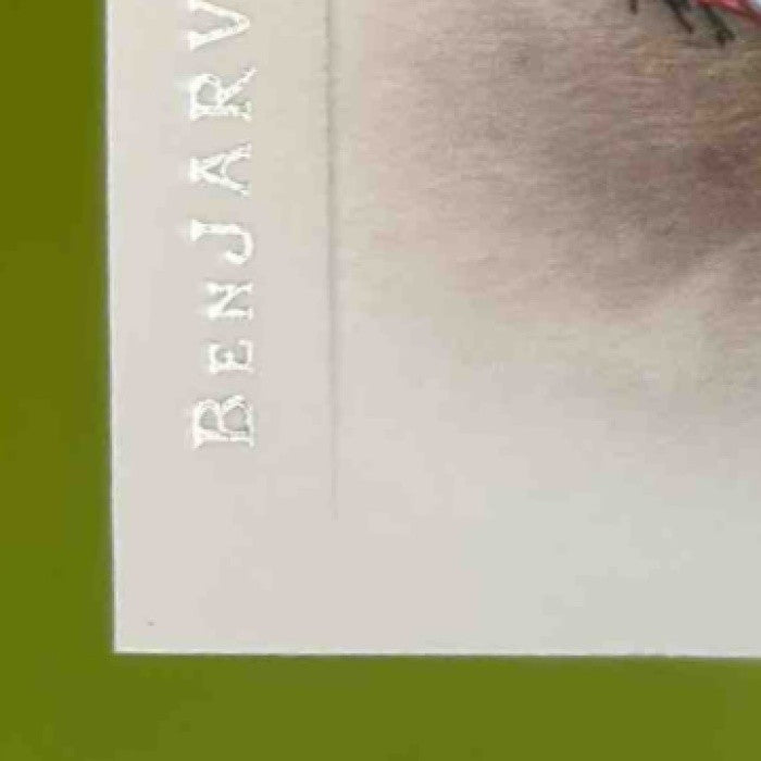 2012 Panini Prime Signatures BenJarvus Green-Ellis /499 #88 Cincinnati Bengals - Sports Cards