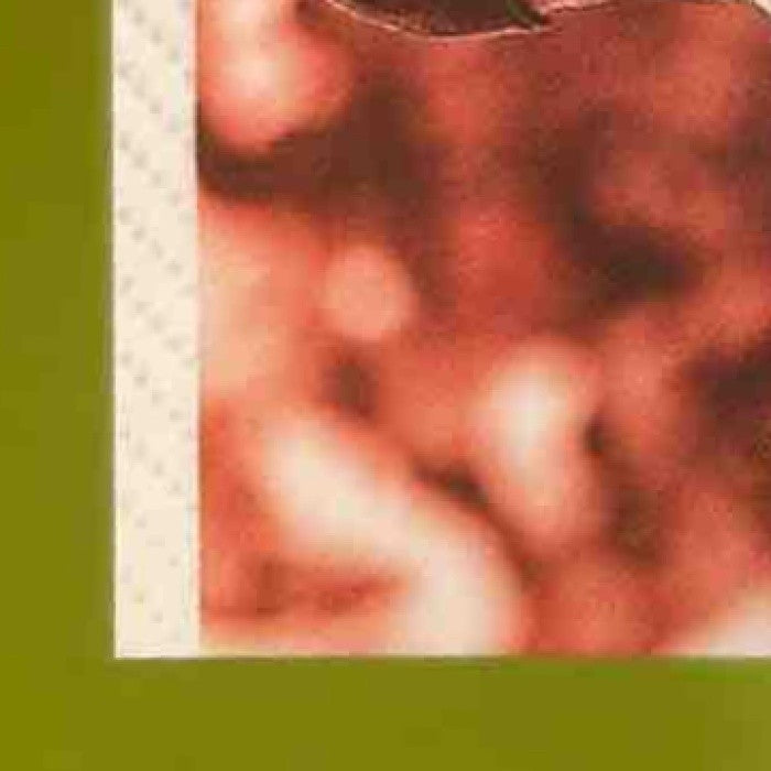 2012 Panini Prizm Joe Girardi Auto #JG New York Yankees - Sports Cards